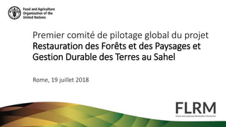 Premier comité de pilotage global du projet
Restauration des Forêts et des Paysages et
Gestion Durable des Terres au Sahel
Rome, 19 juillet 2018
 