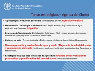 Temas estratégicos – Agenda del Cluster
• Agroecología / Producción Sostenible: Polinizadores, SIPAM, Agrobiodiversidad.
• Mecanización / Tecnología & infraestructura: Bajo Carbono – Bajo consumo de agua,
Agricultura de Secano – Irrigación.
• Innovación & Transferencia: Digitalización, Extensión – Fácil y major acceso a tecnologías /
información para pequeños – medianos productores.
• Cadenas de valor: Economía circular– Reducción de pérdidas y desperdicios– Bioeconomía.
• Uso responsable y sostenible de agua y suelo / Mejora de la salud del suelo
y restauración del suelo: fertilizantes, pesticidas, herbicidas, recarbonización, Década de la
restauración.
• Estrategías de apoyo a los Ministerios de Agricultura: Análisis de las vocaciones
productivas y planificación del uso del suelo– Politicas/Instrumentos
 