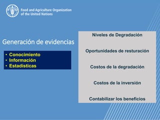 Generación de evidencias
• Conocimiento
• Información
• Estadísticas
Niveles de Degradación
Oportunidades de resturación
Costos de la degradación
Costos de la inversión
Contabilizar los beneficios
 