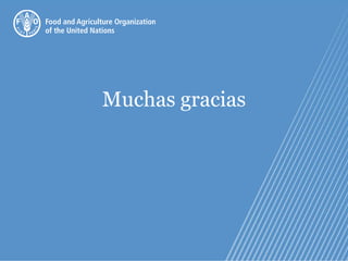 Muchas gracias
 