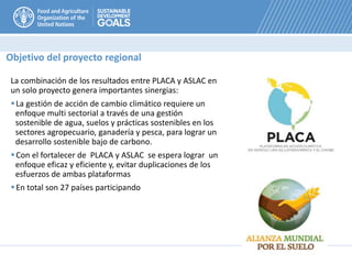 La combinación de los resultados entre PLACA y ASLAC en
un solo proyecto genera importantes sinergias:
La gestión de acción de cambio climático requiere un
enfoque multi sectorial a través de una gestión
sostenible de agua, suelos y prácticas sostenibles en los
sectores agropecuario, ganadería y pesca, para lograr un
desarrollo sostenible bajo de carbono.
Con el fortalecer de PLACA y ASLAC se espera lograr un
enfoque eficaz y eficiente y, evitar duplicaciones de los
esfuerzos de ambas plataformas
En total son 27 países participando
Objetivo del proyecto regional
 