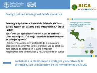 Dialogo político sub-regional de Mesoamérica
Estrategia Agricultura Sostenible Adatada al Clima
para la región del sistema de la Integración CA (2018
–2030)
Eje 3 ´Paisajes agrícolas sostenibles bajos en carbono´-
Línea estratégica 12 ´Manejo sostenible del recurso suelo
en paisajes agrícolas´
. Promover uso eficiente y sostenible de insumos para
producción de alimentos sanos; promover uso de practicas
para captura de carbono en el suelo e impulsar
mecanismos para conservación y restauración de los suelos
contribuir a la planificación estratégica y operativa de la
estrategia, con la integración de las herramientas de ASLAC
 