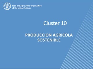 Cluster 10
PRODUCCION AGRÍCOLA
SOSTENIBLE
 
