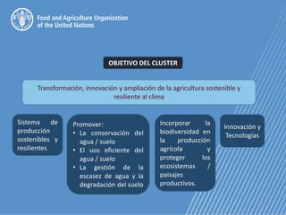 OBJETIVO DEL CLUSTER
Transformación, innovación y ampliación de la agricultura sostenible y
resiliente al clima
Sistema de
producción
sostenibles y
resilientes
Promover:
• La conservación del
agua / suelo
• El uso eficiente del
agua / suelo
• La gestión de la
escasez de agua y la
degradación del suelo
Incorporar la
biodiversidad en
la producción
agrícola y
proteger los
ecosistemas /
paisajes
productivos.
Innovación y
Tecnologías
 