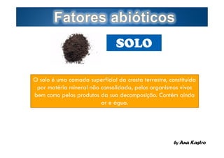 SOLO
O solo é uma camada superficial da crosta terrestre, constituída
por matéria mineral não consolidada, pelos organismos vivos
bem como pelos produtos da sua decomposição. Contém ainda
ar e água.

Page  11

by Ana Kastro

 