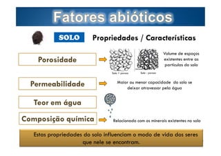 SOLO

Propriedades / Características
Volume de espaços
existentes entre as
partículas do solo

Porosidade
Solo + poroso

Permeabilidade

Solo - poroso

Maior ou menor capacidade do solo se
deixar atravessar pela água

Teor em água
Composição química

Relacionado com os minerais existentes no solo

Estas propriedades do solo influenciam o modo de vida dos seres
Page  13
by Ana Kastro
que nele se encontram.

 