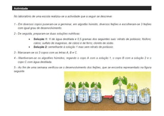 Page  3

by Ana Kastro

 