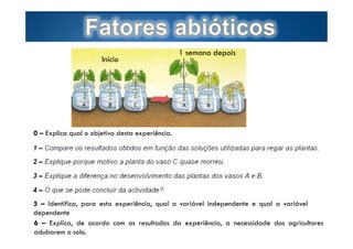 Início

1 semana depois

0 – Explica qual o objetivo desta experiência.

5 – Identifica, para esta experiência, qual a variável independente e qual a variável
dependente
6 –  Explica, de acordo com os resultados da experiência, a necessidade by Ana Kastro
dos agricultores
Page 4
adubarem o solo.

 