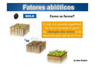SOLO

Como se forma?
O solo é a camada superficial
da Terrra formada a partir
da
e da
decomposição dos seres vivos.

Page  7

by Ana Kastro

 