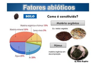 SOLO

Como é constituído?
Matéria orgânica
Ex: restos vegetais

Húmus
matéria orgânica em
decomposição.

Page  8

by Ana Kastro

 