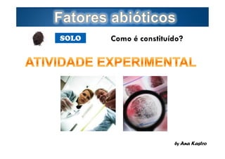 SOLO

Page  9

Como é constituído?

by Ana Kastro

 