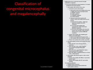 6 Fetal skull Dr Ahmed Esawy | PDF