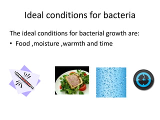 Ideal conditions for bacteria
The ideal conditions for bacterial growth are:
• Food ,moisture ,warmth and time
 