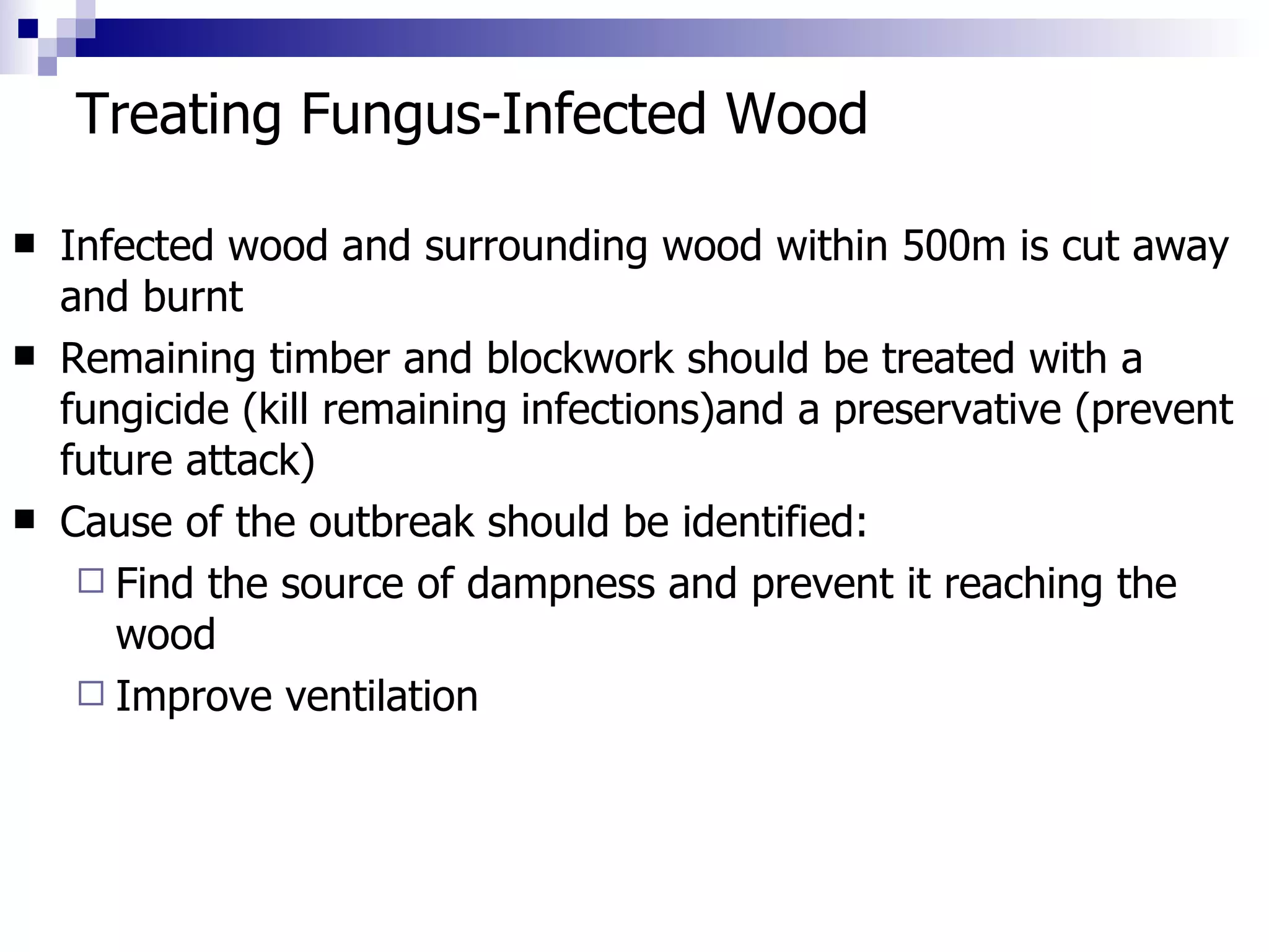 Treating Fungus-Infected Wood Infected wood and surrounding wood within 500m is cut away and burnt Remaining timber and blockwork should be treated with a fungicide (kill remaining infections)and a preservative (prevent future attack) Cause of the outbreak should be identified: Find the source of dampness and prevent it reaching the wood Improve ventilation 