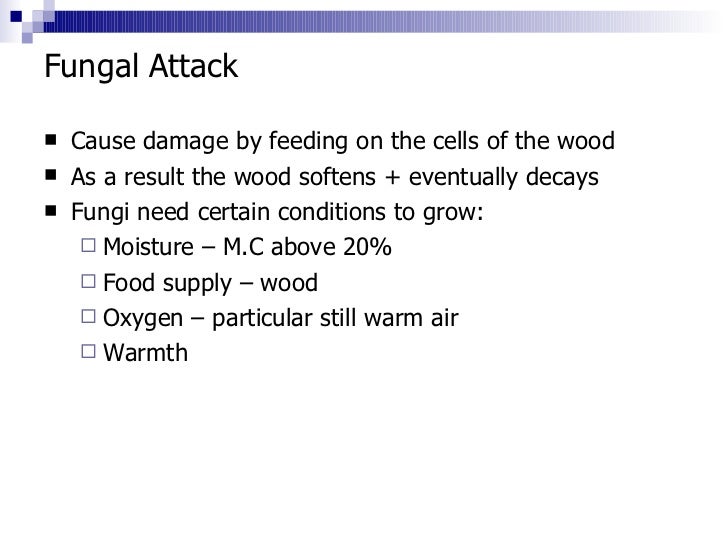 6. fungal attack