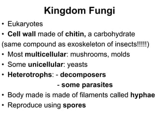 Kingdom Fungi
• Eukaryotes
• Cell wall made of chitin, a carbohydrate
(same compound as exoskeleton of insects!!!!!)
• Most multicellular: mushrooms, molds
• Some unicellular: yeasts
• Heterotrophs: - decomposers
- some parasites
• Body made is made of filaments called hyphae
• Reproduce using spores
 