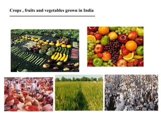 Crops , fruits and vegetables grown in India
---------------------------------------------------------
 