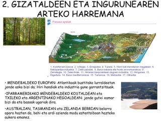 2. GIZATALDEEN ETA INGURUNEAREN
        ARTEKO HARREMANA




• MENDEBALDEKO EUROPAN: Atlantikoak bustitako lurraldeetan
jende asko bizi da; Hiri handiak eta industria gune garrantzitsuak.
•IPARRAMERIKAKO MENDEBALDEKO KOSTALDEAN eta
TXILEKO eta ARGENTINAKO HEGOALDEAN: jende gutxi xamar
bizi da eta basoak ugariak dira.
•AUSTRALIAN, TASMANIAN eta ZELANDA BERRIAN belarra
oparo hazten da, behi eta ardi azienda modu estentsiboan hazteko
aukera emanez.
 