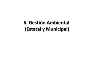 6. Gestión Ambiental  (Estatal y Municipal) 