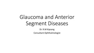 Glaucoma and Anterior
Segment Diseases
Dr. R.M Kipsang
Consultant Ophthalmologist
 