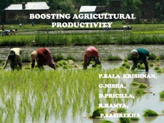 BOOSTING AGRICULTURAL
PRODUCTIVITY
P.BALA KRISHNAN,
G.NISHA,
D.PRICILLA,
R.RAMYA,
P.SASIREKHA
 