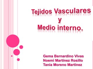 Tejidos Vasculares  y  Medio interno. Gema Bernardino Vivas Noemí Martínez Rosillo Tania Moreno Martínez 