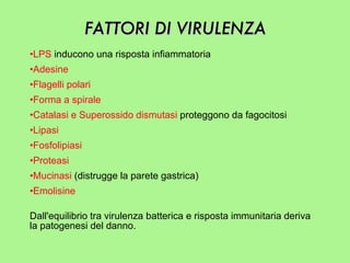 FATTORI DI VIRULENZA LPS   inducono una risposta infiammatoria Adesine Flagelli polari  Forma a spirale  Catalasi e Superossido dismutasi   proteggono da fagocitosi Lipasi Fosfolipiasi Proteasi Mucinasi  (distrugge la parete gastrica) Emolisine Dall'equilibrio tra virulenza batterica e risposta immunitaria deriva la patogenesi del danno. 