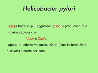I  ceppi  batterici più aggressivi ( Tipo I ) producono due proteine citotossiche: VacA  e  CagA,   capace di indurre vacuolizzazione (cioé la formazione di cavità) e morte cellulare.  Helicobacter pylori 