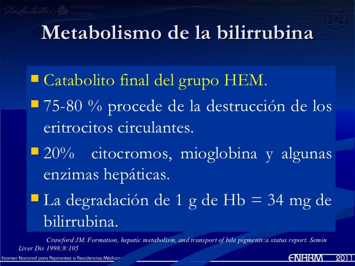 Download Bilirrubina Valores Normales Pdf Software Download Bilirrubina Valores Normales Pdf Software