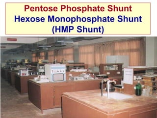 Pentose Phosphate Shunt
Hexose Monophosphate Shunt
        (HMP Shunt)
 