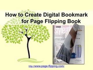 How to Create Digital Bookmark
     for Page Flipping Book




        http://www.page-flipping.com/
 