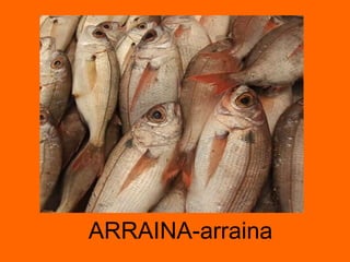 ARRAINA-arraina 