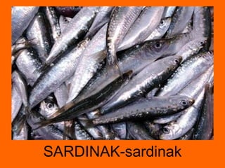 SARDINAK-sardinak 