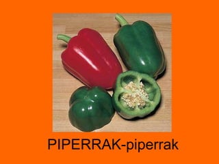 PIPERRAK-piperrak 
