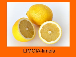 LIMOIA-limoia 