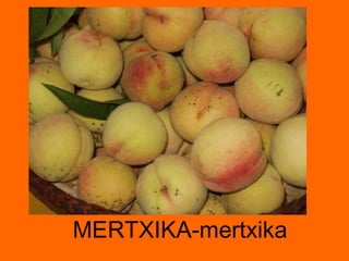 MERTXIKA-mertxika 