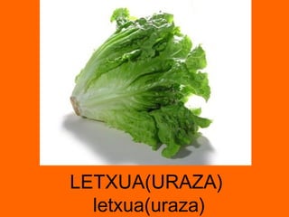 LETXUA(URAZA)  letxua(uraza) 