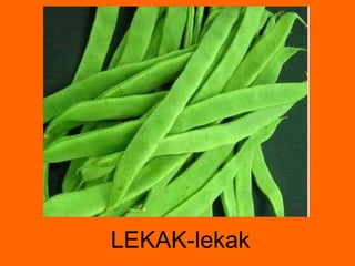 LEKAK-lekak 