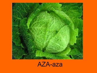AZA-aza 