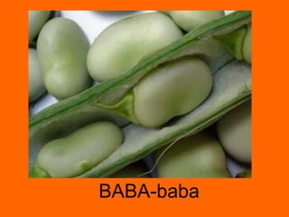 BABA-baba 