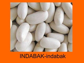 INDABAK-indabak 