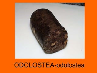 ODOLOSTEA-odolostea 
