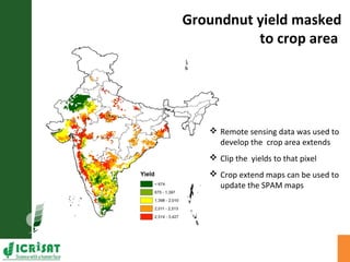 Groundnut yield masked
to crop area
 Remote sensing data was used to
develop the crop area extends
 Clip the yields to t...