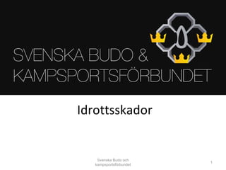 Idrottsskador Svenska Budo och kampsportsförbundet 