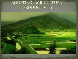 BOOSTING AGRICULTURAL
PRODUCTIVITY
 