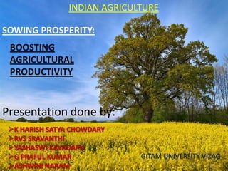 BOOSTING
AGRICULTURAL
PRODUCTIVITY
SOWING PROSPERITY:
Presentation done by:
GITAM UNIVERSITY VIZAG
INDIAN AGRICULTURE
 