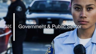 Government & Public Sector
 