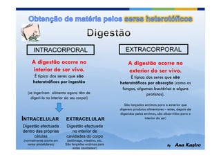 INTRACORPORAL                                    EXTRACORPORAL




INTRACELULAR             EXTRACELULAR
Digestão efectuada       Digestão efectuada
dentro das próprias         no interior de
      células            cavidades do corpo
(normalmente ocorre em    (estômago, intestino, etc.
   seres unicelulares)   São lançadas enzimas para
                              estas cavidades!)
 