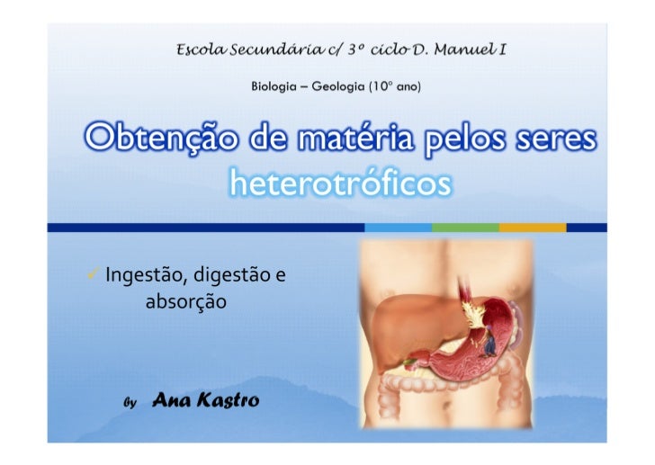 = FAGOSSOMA (tipo de vesícula endocítica)(vesícula contendo partícula alimentar) 