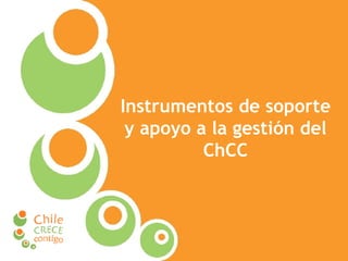 Instrumentos de soporte y apoyo a la gestión del ChCC 